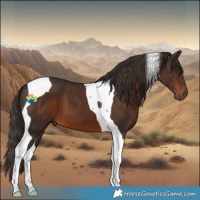 Horse Color:Liver Chestnut Tobiano 