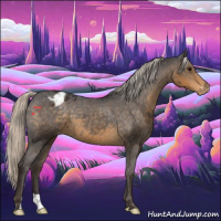 Horse Color:Silver Smoky Black Appaloosa 