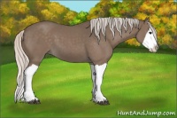 Horse Color:Silver Black Splash 