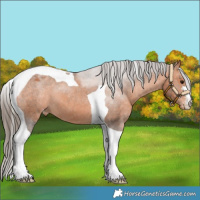 Horse Color:Bay Tobiano Varnish 