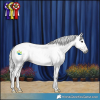 Horse Color:Gray Bay 