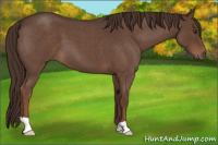 Horse Color:Liver Red Roan 