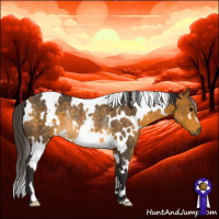 Horse Color:White Spotted Buckskin Rabicano