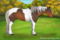 Horse Color:Silver Buckskin Tobiano 