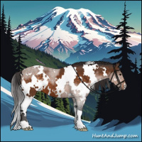 Horse Color:White Spotted Buckskin 