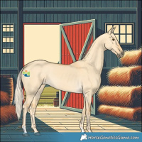 Horse Color:Palomino Dun 