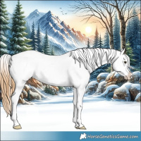 Horse Color:Red Dun Appaloosa 