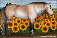 Horse Color:Gray Bay  and Bay 