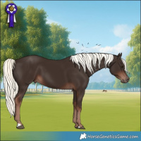 Horse Color:Liver Chestnut Mushroom 