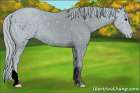 Horse Color:ERROR: UNKNOWN ANOMALY