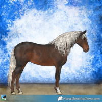 Horse Color:Liver Chestnut Mushroom 