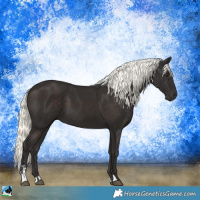 Horse Color:Liver Chestnut Mushroom Sabino