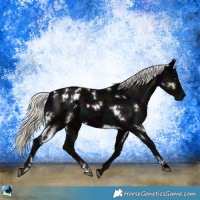 Horse Color:White Spotted Midnight Liver Chestnut Ice Mushroom 
