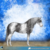 Horse Color:White Spotted Smoky Black Mushroom Sabino 