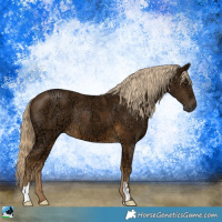 Horse Color:Chocolate Palomino Ice Mushroom 
