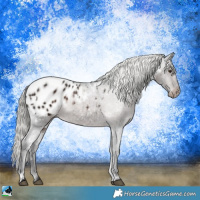 Horse Color:White Spotted Liver Chestnut Ice Mushroom Varnish 