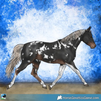 Horse Color:White Spotted Liver Chestnut Mushroom Tobiano 