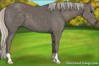 Horse Color:Silver Black 