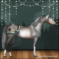 Horse Color:Gray White Spotted Buckskin Tobiano Rabicano