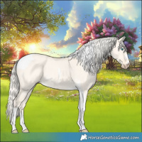Horse Color:Cremello Dun Tobiano 