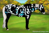 Horse Color:Gold Champagne Ice Pearl Onyx Splash Leopard 