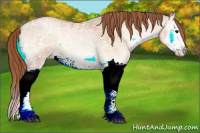 Horse Color:Bay Ice Pearl Onyx Splash 