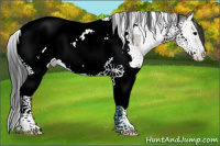 Horse Color:Blue Onyx Ice Splash Tobiano Near Fewspot 