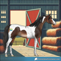 Horse Color:Brown Tobiano 