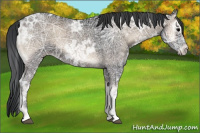 Horse Color:Blue Onyx Ice 