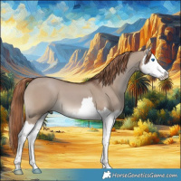 Horse Color:Liver Red Dun Splash 