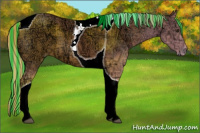 Horse Color:Painted Chestnut Ice Tobiano 