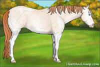 Horse Color:White Spotted Sable Champagne Ice Pearl 