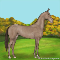 Horse Color:Classic Champagne  and Classic Champagne 