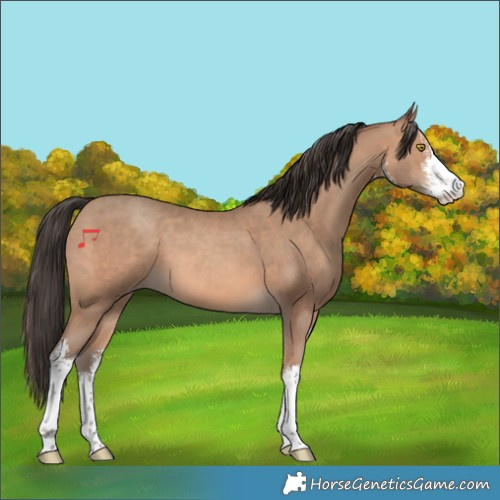 Horse Color:White Spotted Sable Champagne Rabicano 