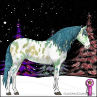 Horse Color:Watercolor Buckskin Onyx Sabino Appaloosa 