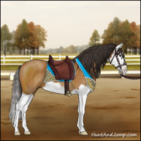 Horse Color:Buckskin Splash 
