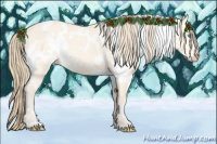 Horse Color:White Spotted Perlino Dun 