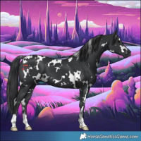 Horse Color:White Spotted Black 