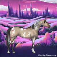 Horse Color:White Spotted Bay Dun