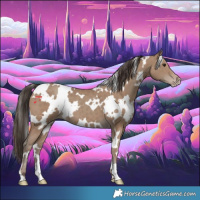 Horse Color:White Spotted Classic Champagne