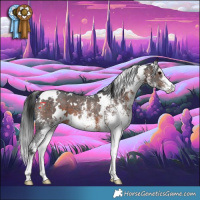 Horse Color:White Spotted Brown 