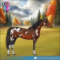 Horse Color:White Spotted Brown 