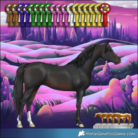 Horse Color:Brown 