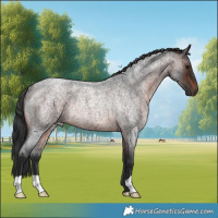 Horse Color:Brown Roan Rabicano