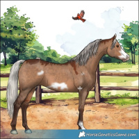 Horse Color:Silver Brown Dun Frame 