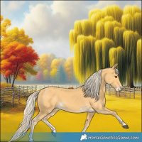 Horse Color:Palomino 