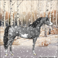 Horse Color:Black Ice Frame 