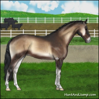 Horse Color:Brown Onyx 