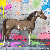 Horse Color:White Spotted Liver Red Dun Tobiano 
