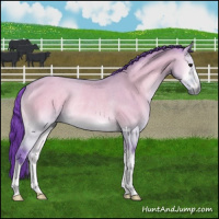 Horse Color:Watercolor Bay Onyx Rabicano 